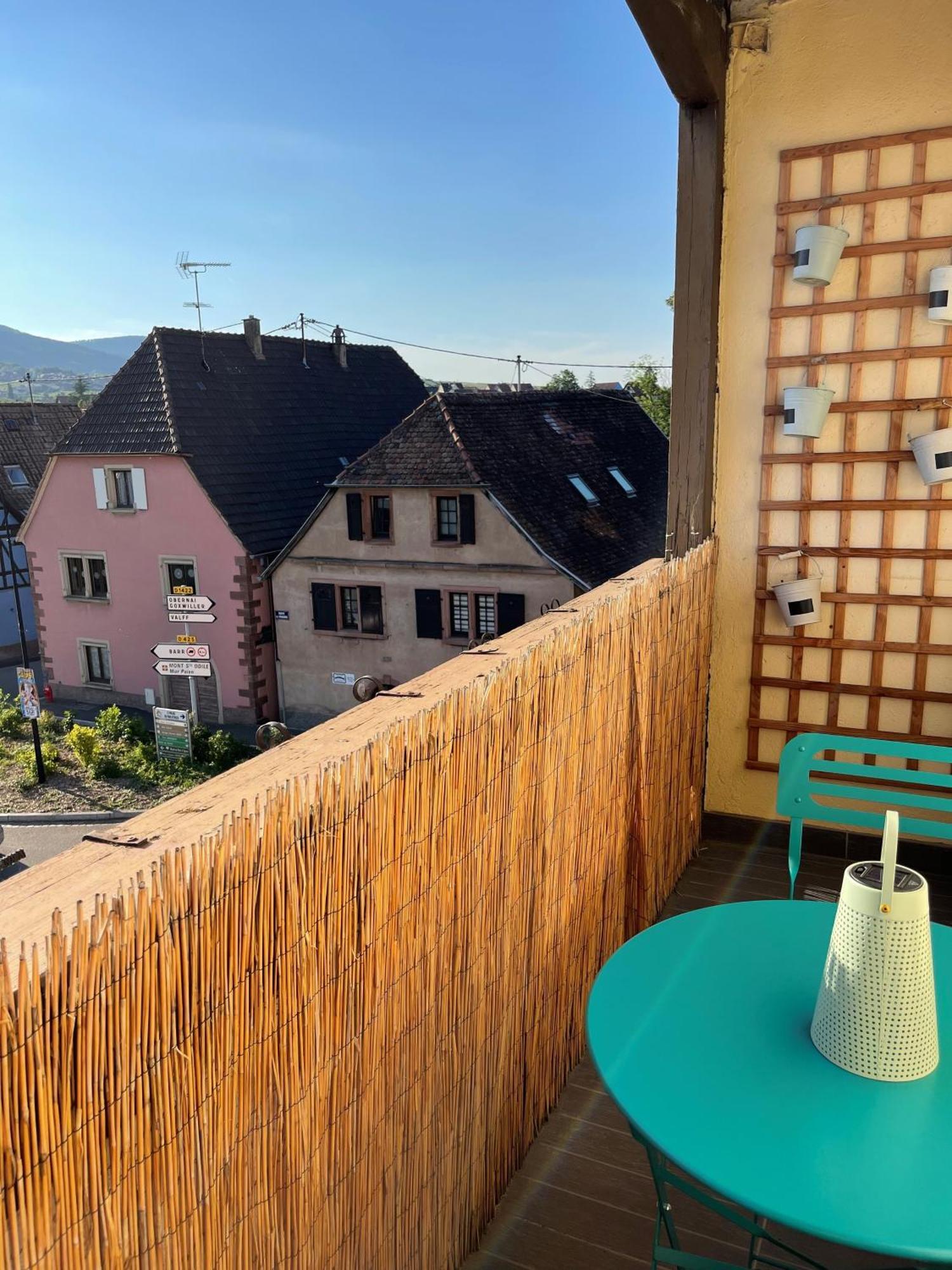 Appartement Centre Alsace Gertwiller Exteriör bild