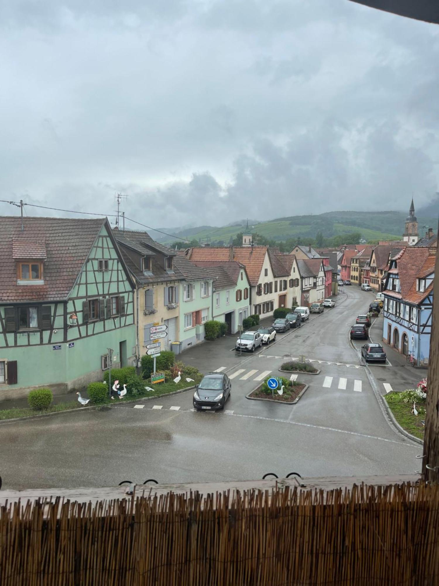 Appartement Centre Alsace Gertwiller Exteriör bild